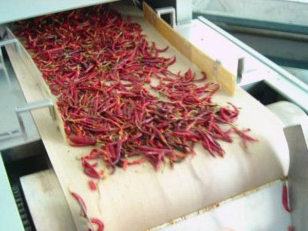 果（guǒ）蔬微波（bō）烘幹設備